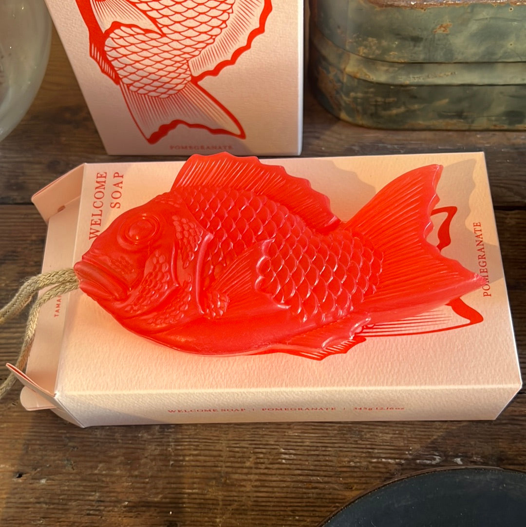 Welcome fish soap