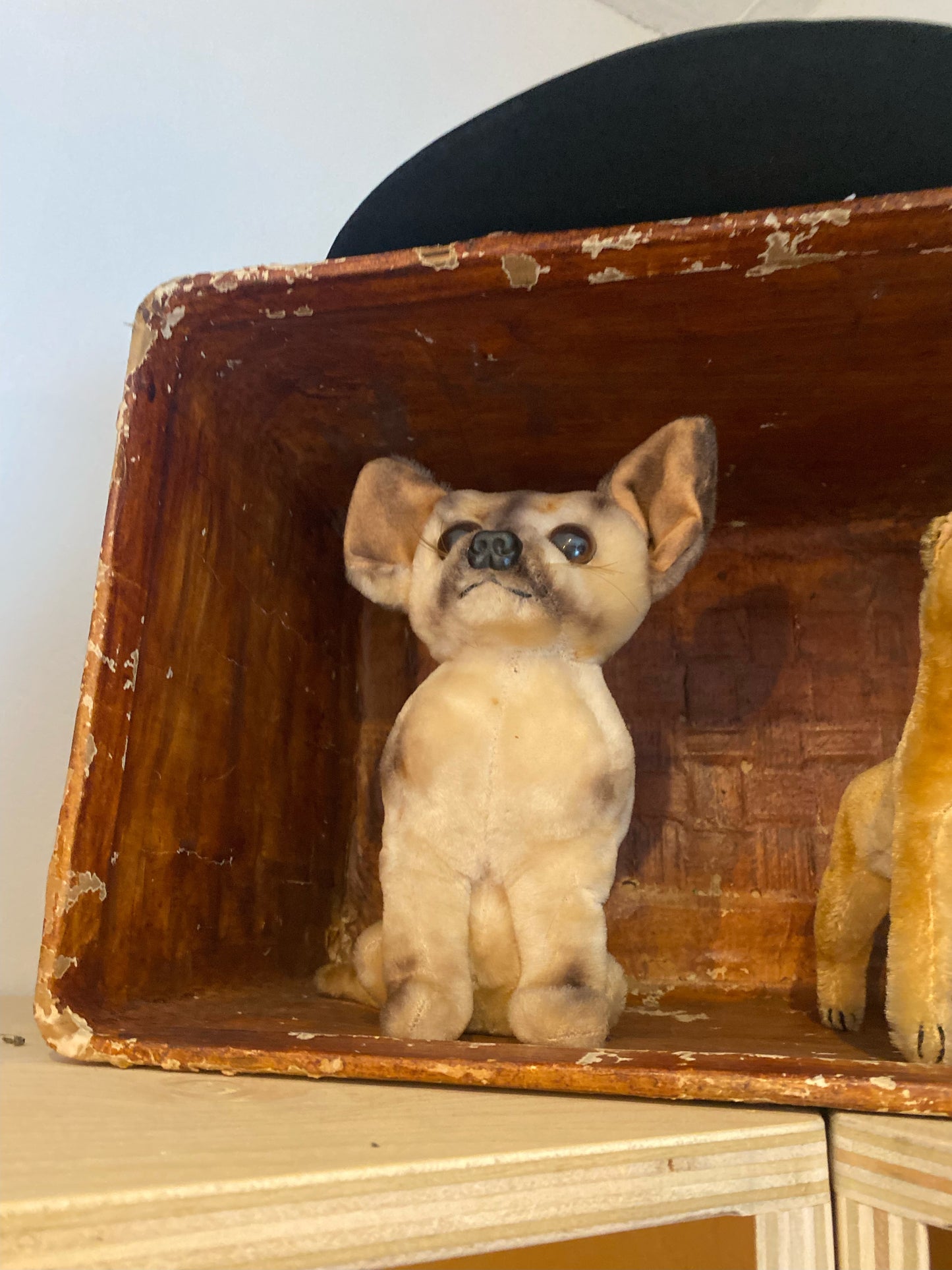 1950’s Chihuahua fur dog