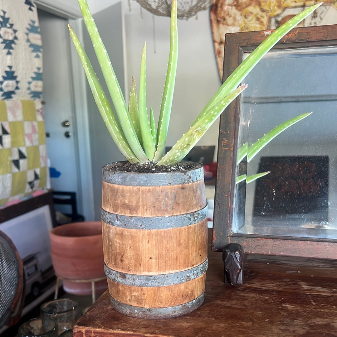 Vintage Barrel planter
