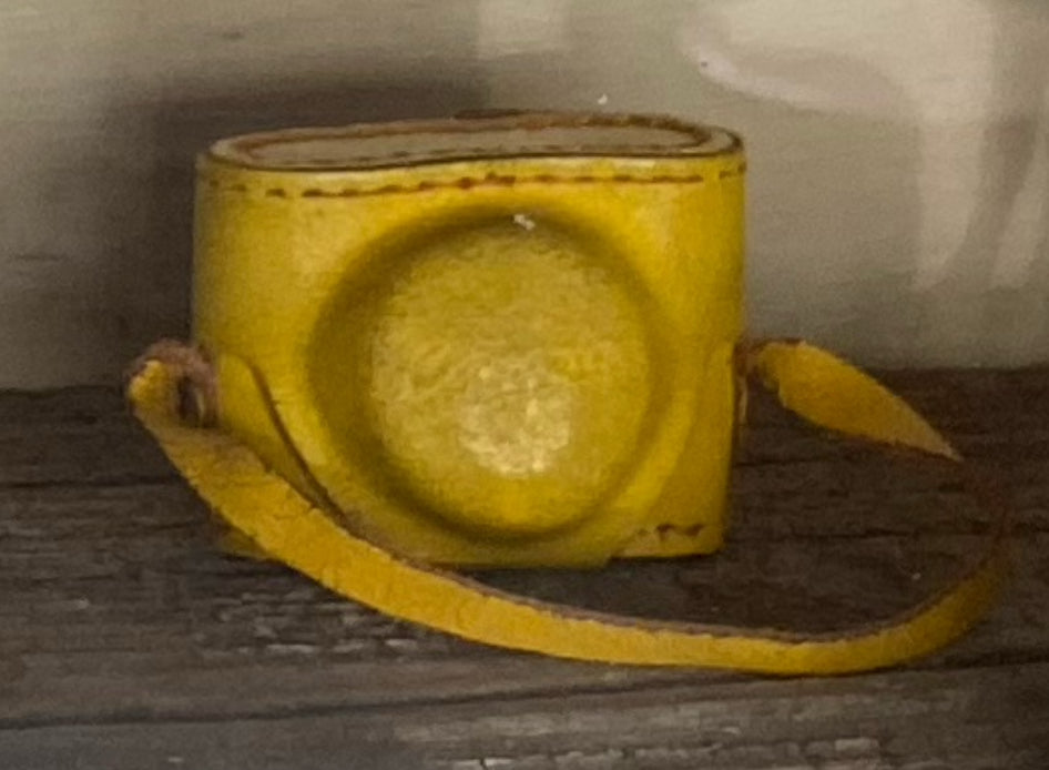 1950’s camera with case