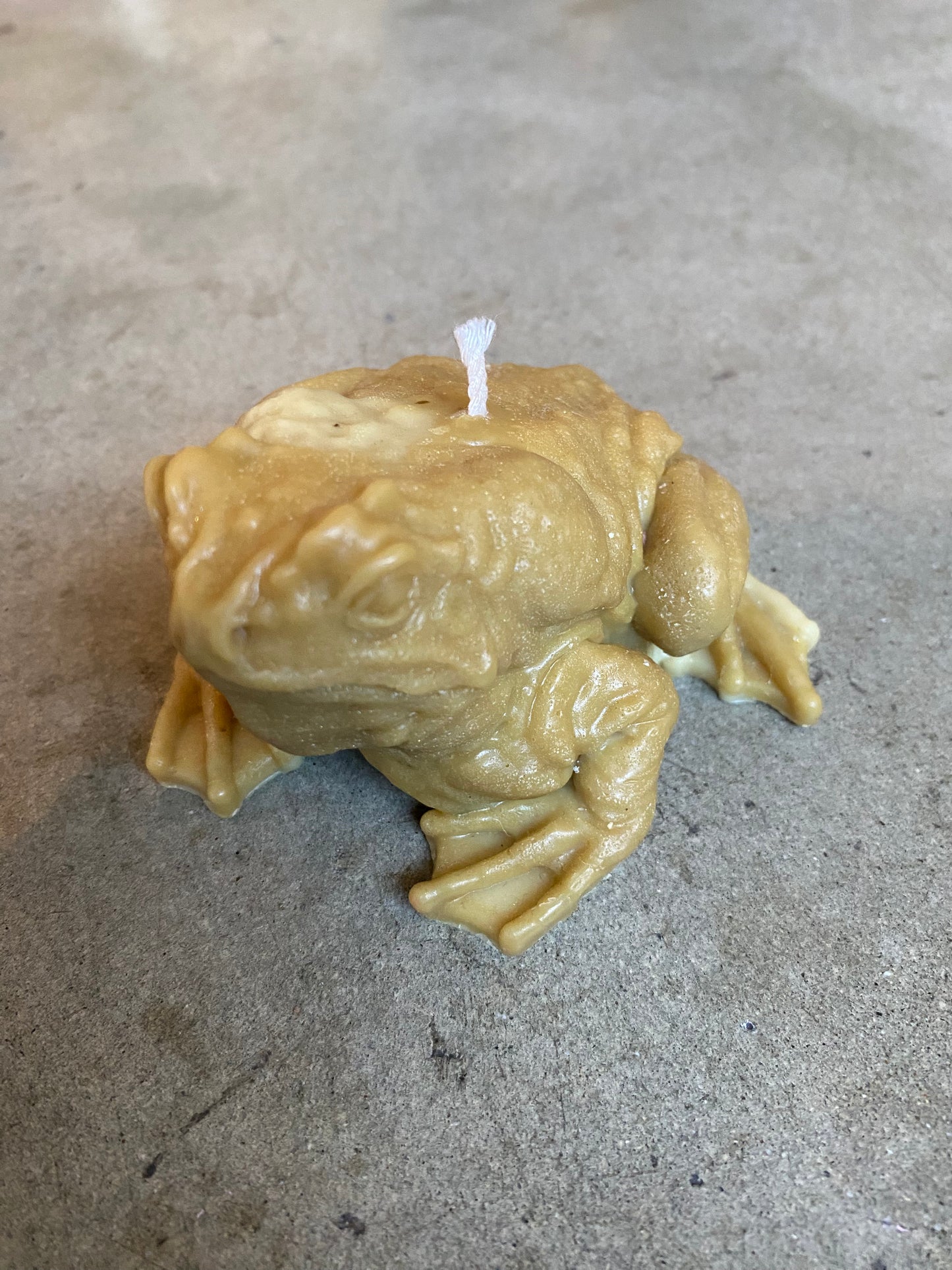 Prosperity Frog Candle