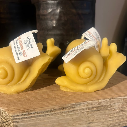 Snail beeswax candle