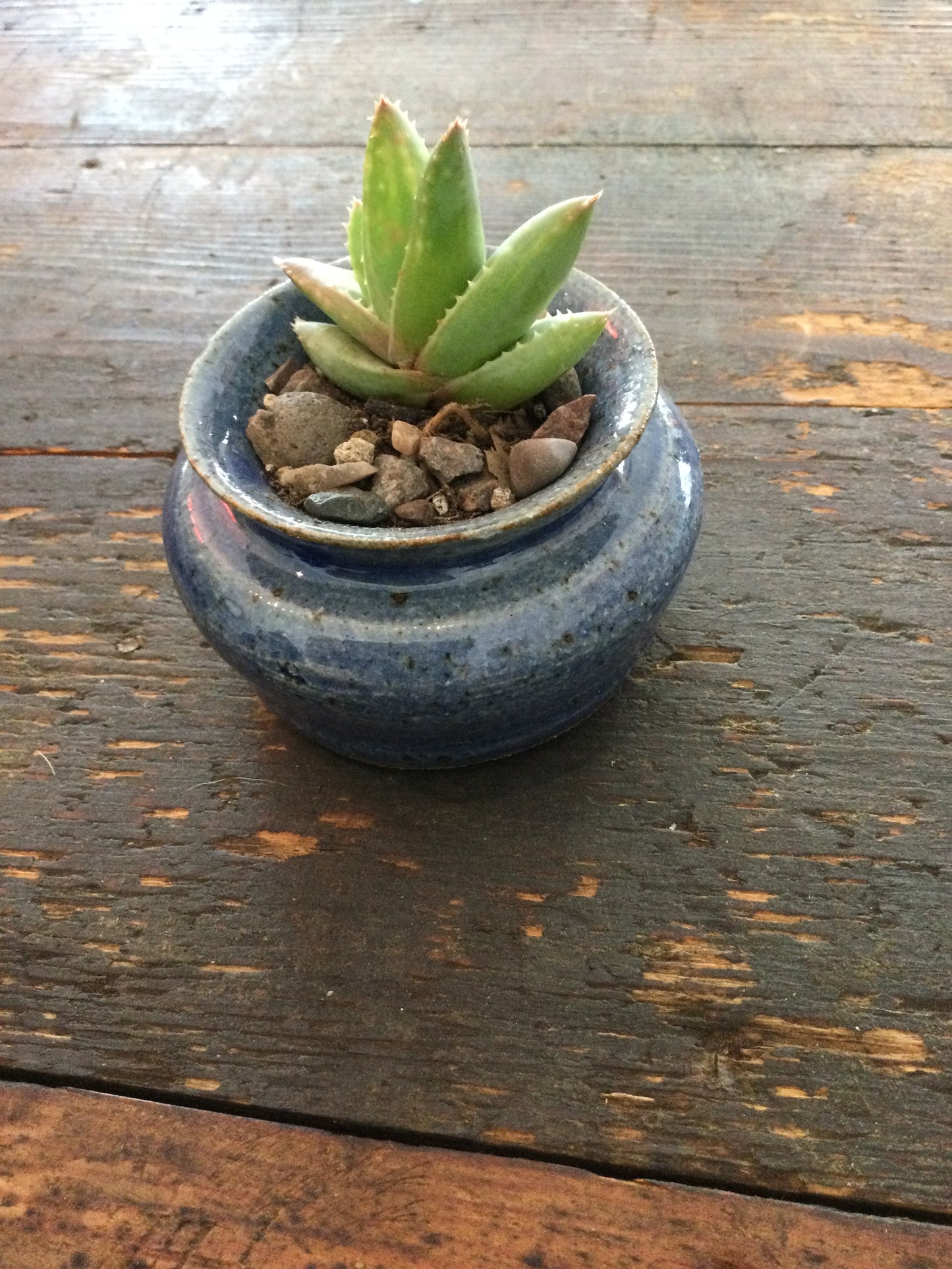 Small ceramic planter