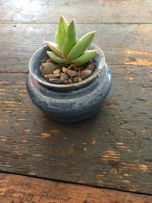 Small ceramic planter