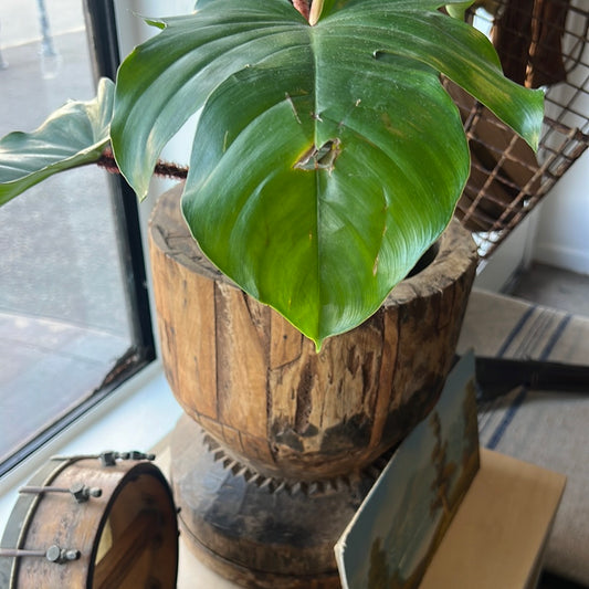 Antique wood planter large