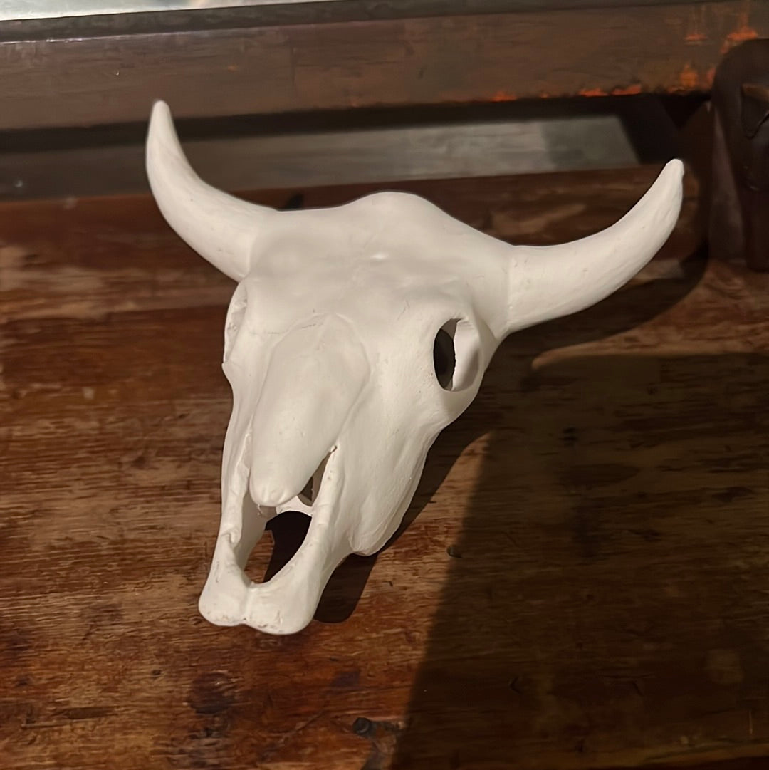 Small bull skull