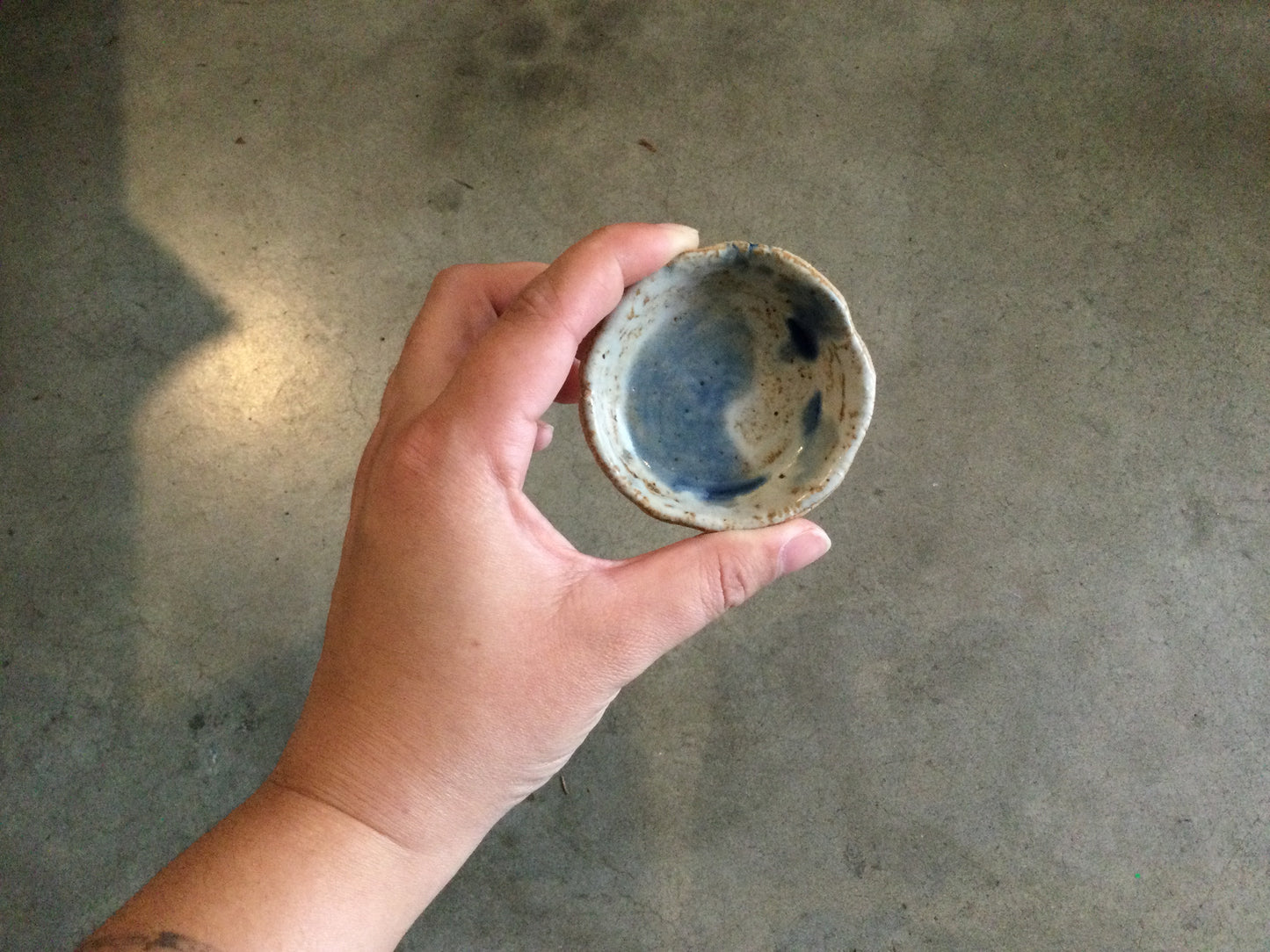 Mini Dish