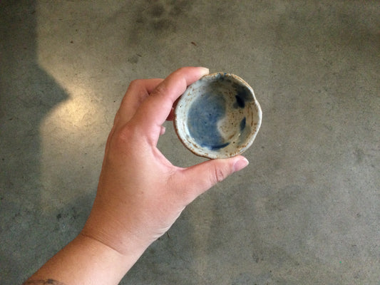 Mini Dish