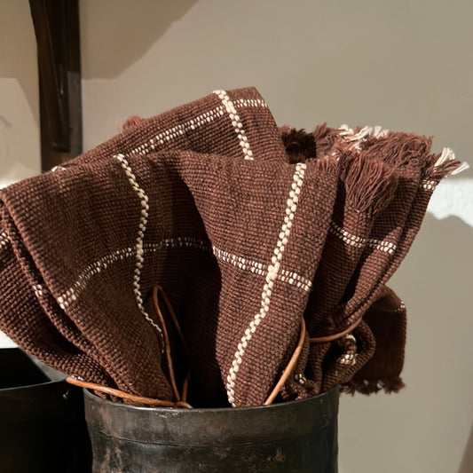 Cloth napkins set of two