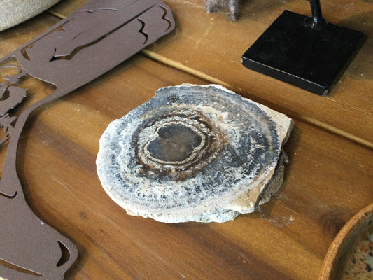Rough Geode Coaster
