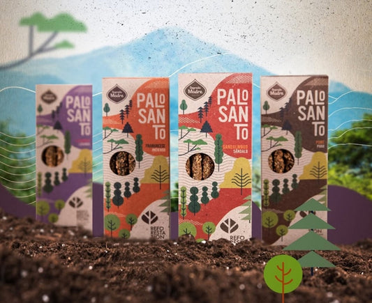 Pure Palo Santo Shorts Collection