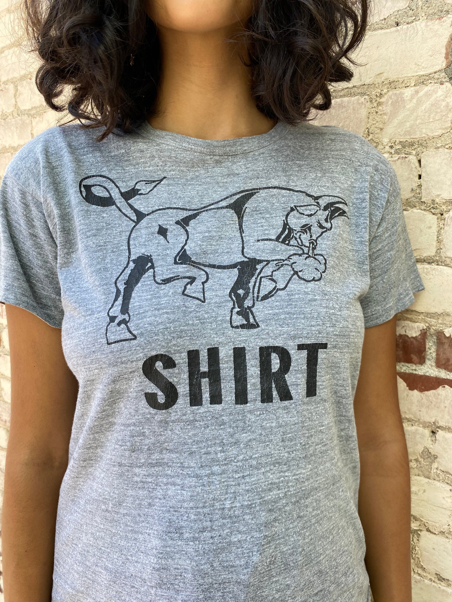 Bull Shirt Tee