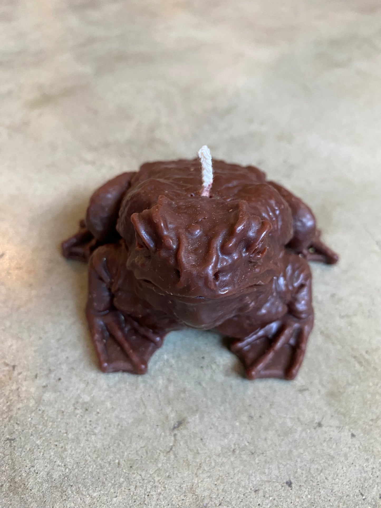 Prosperity Frog Candle