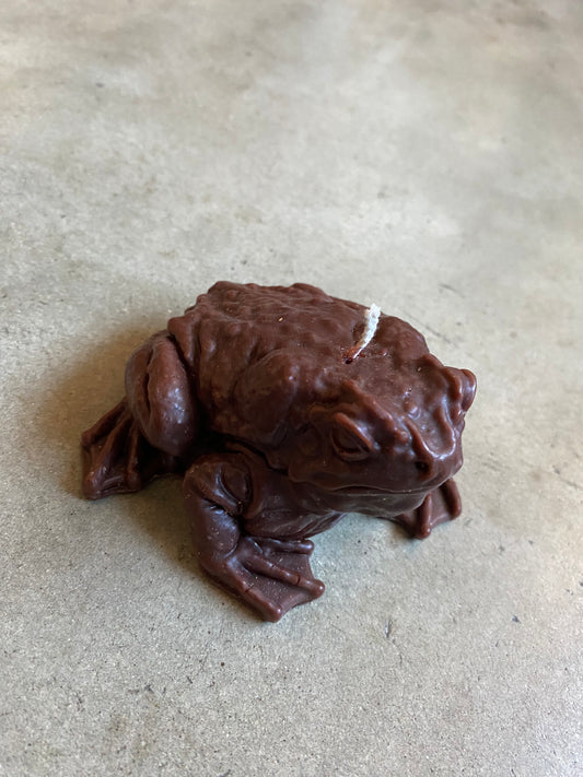 Prosperity Frog Candle